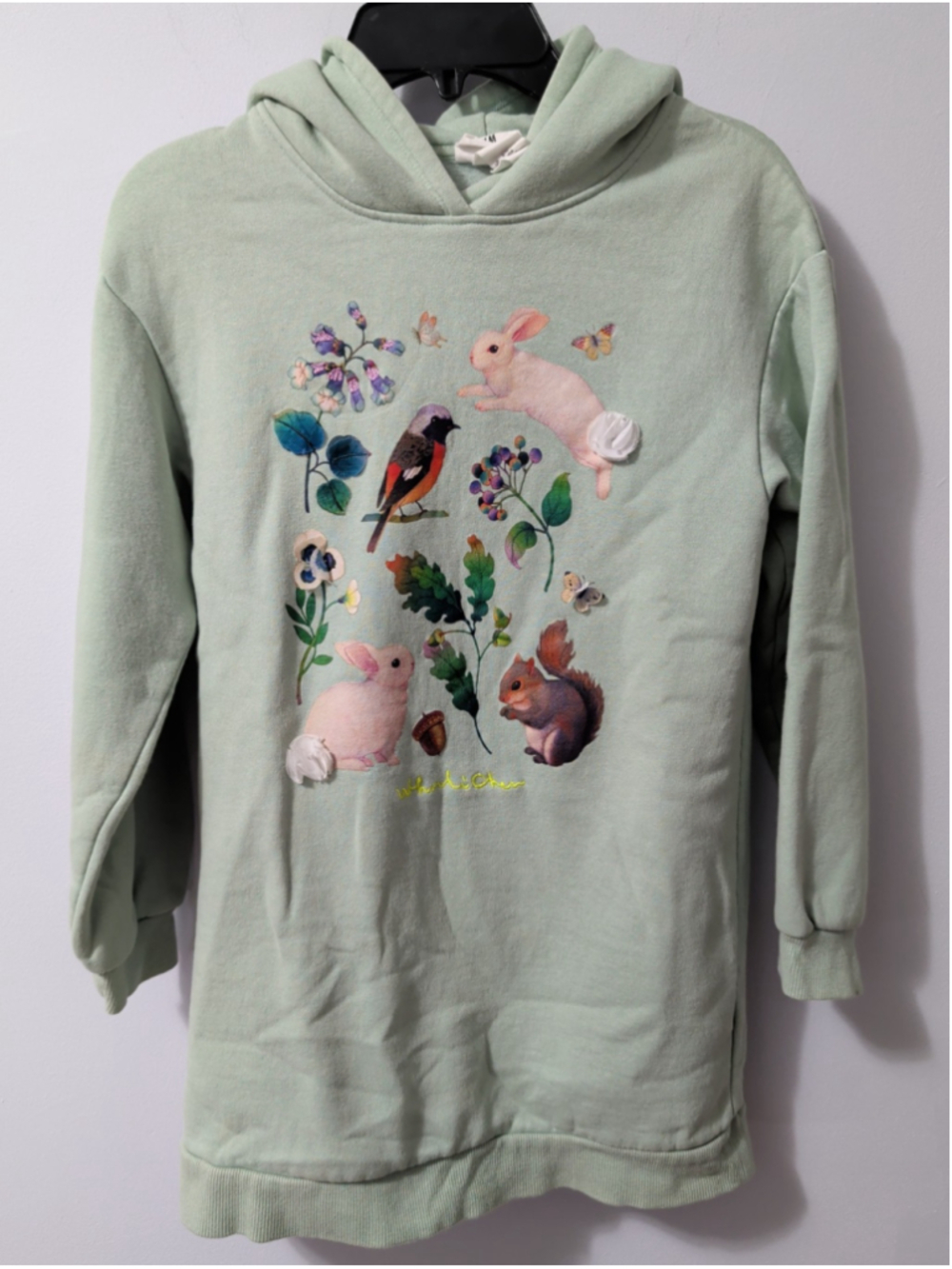 H&M Green Nature Animal Hoodie Sweatshirt Hooded Dress Woodli Chem 3D 8-10 Girls